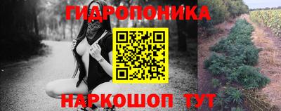 эйфоретик Гусев