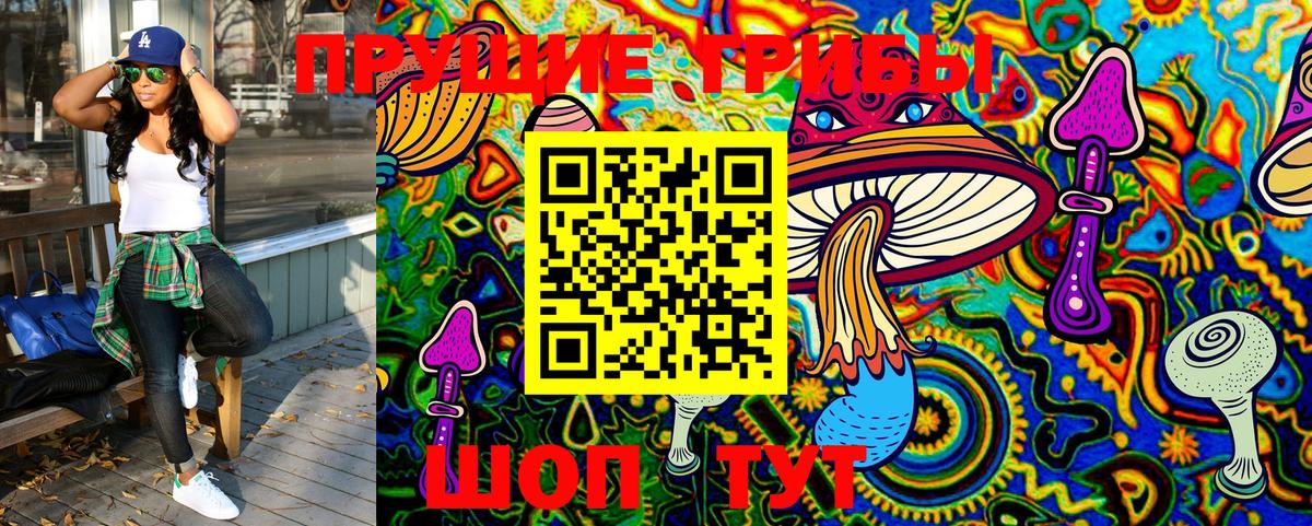 Новоалтайск  Псилоцибиновые грибы GOLDEN TEACHER  Вход с VPN 