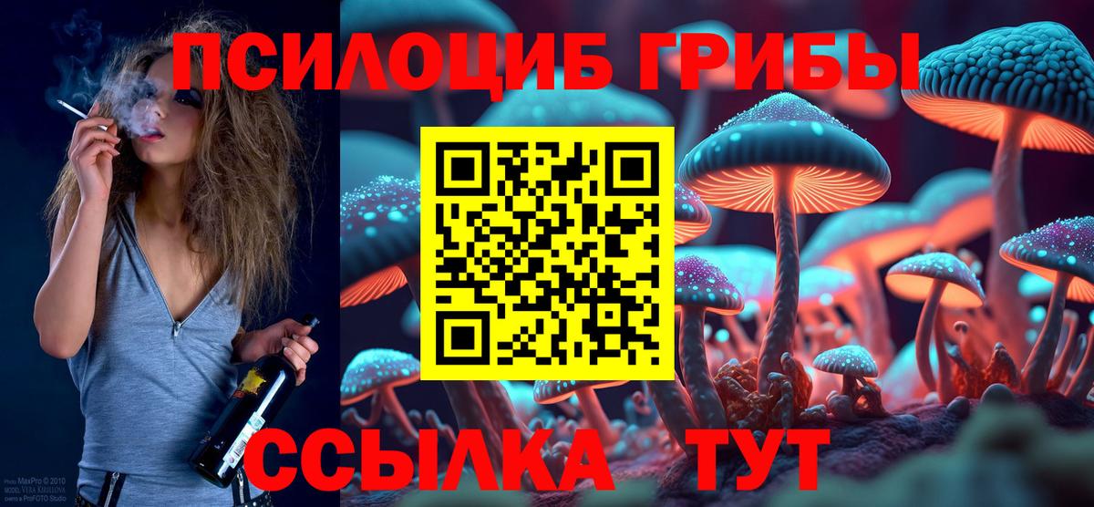 Псилоцибиновые грибы Psilocybe Новоалтайск
